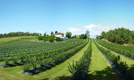 foto_noticia3 foto_noticia3